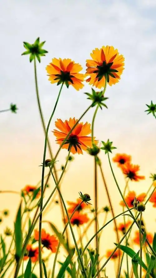 朋友圈2021致自己很火的一段话简单说说句句简单走心