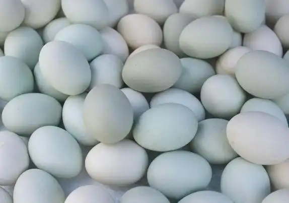 小四班主题活动《蛇偷吃了我的蛋》——装饰蛋宝宝