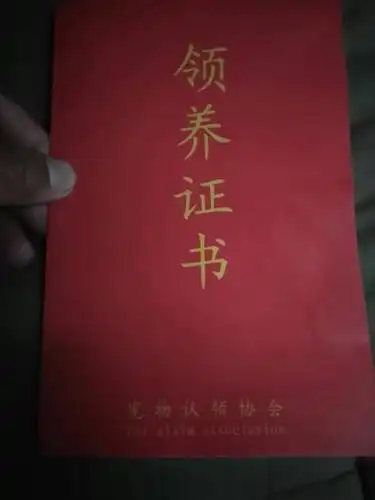 在微信看到免费领养狗狗,先给我发过来的证书,(邮费自付),签字拍照后