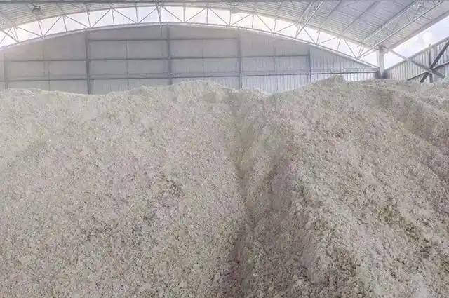 甘蔗渣想要得到再利用需要提升它的经济价值,大批量甘蔗渣都是在糖厂