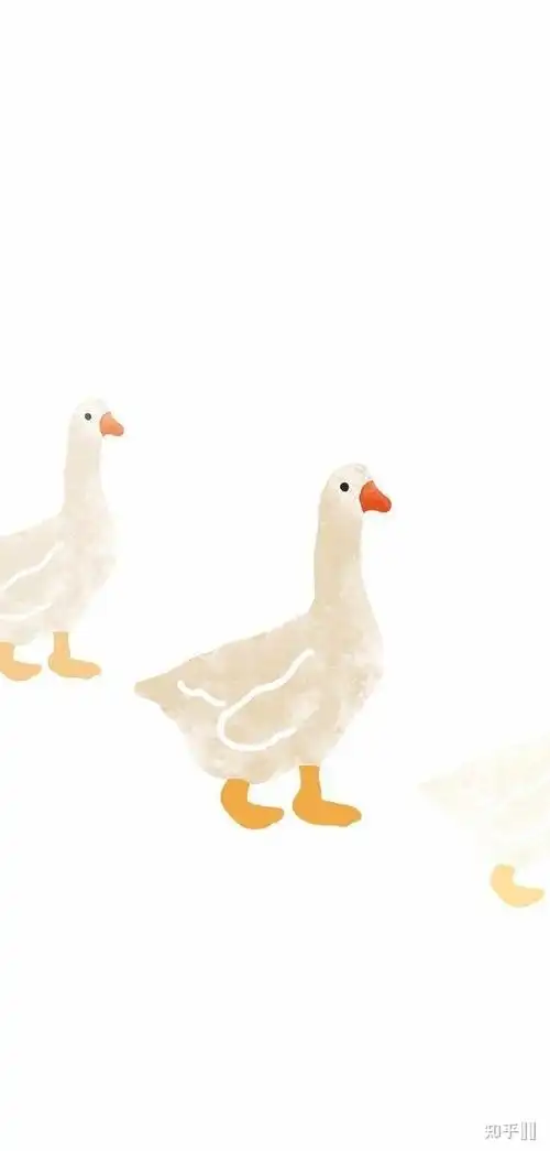 有没有可爱的鸭子壁纸呀