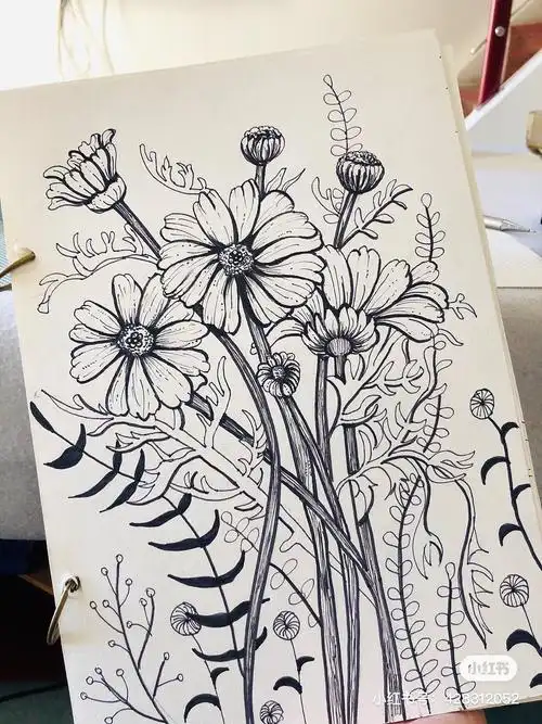 黑白装饰画-线稿(临摹)