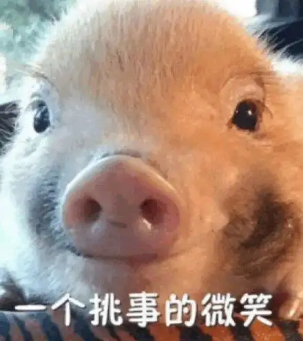 一个挑事的微笑(猪猪)_猪猪_挑事_微笑_一个表情