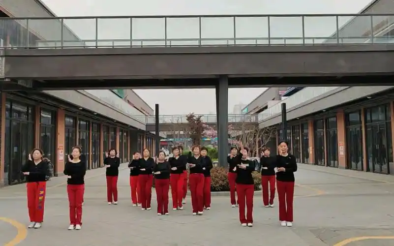 舞林盟主经典版健身操《大好河山》16人队形版