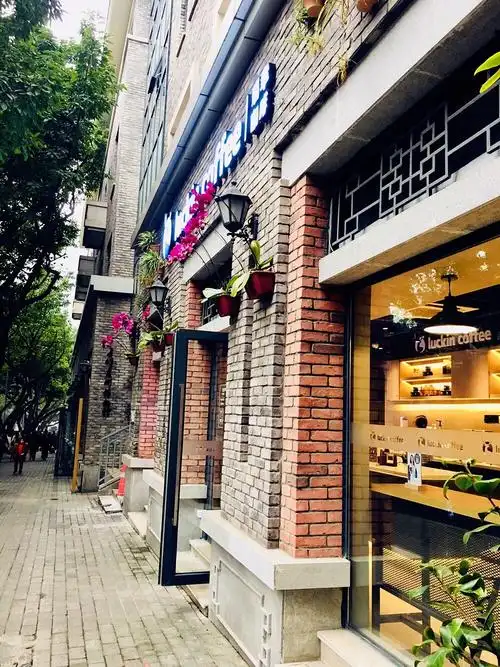 中山四路,一条代言着重庆的前世今生的最美街道