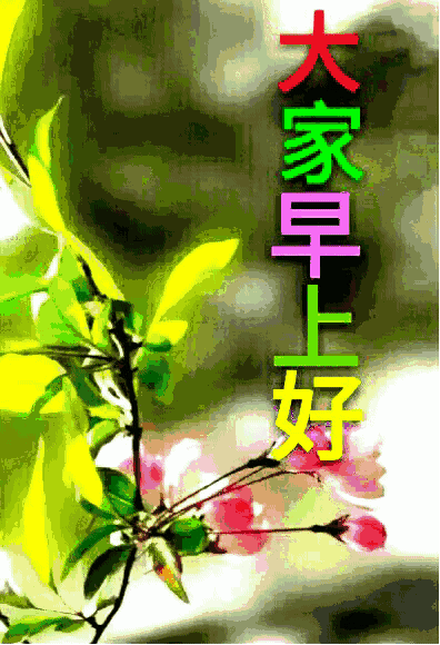 早上好祝福语表情包早上好问候语带动态图片