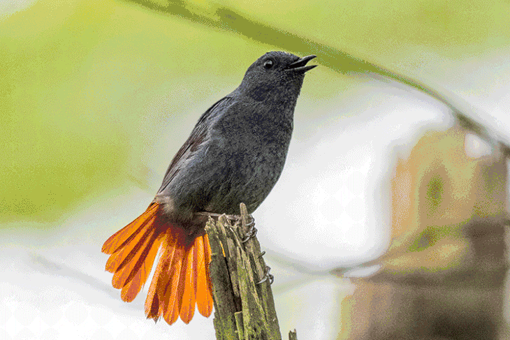 730_487gif 动态图 动图