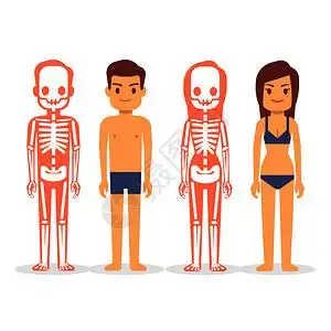 国际禁毒日骷髅男与女白背景隔离的男女骨骼与白背景隔离的男女骨架与