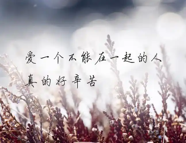 爱一个不能在一起的人真的好辛苦