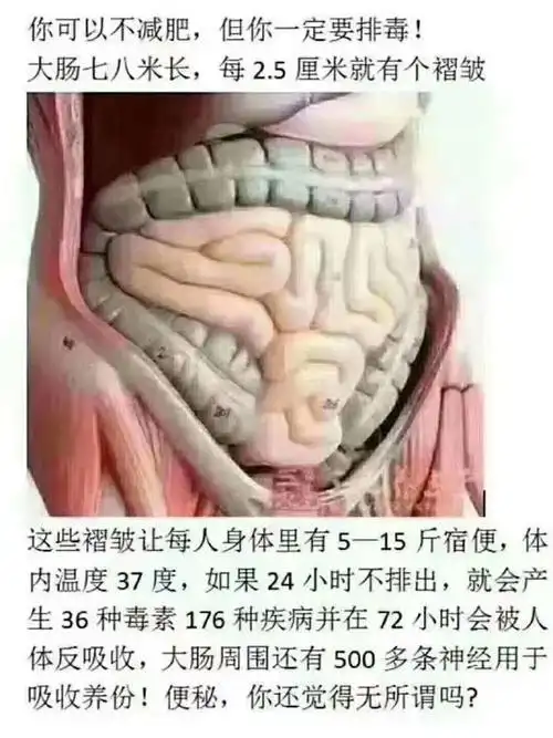 你是否需要排出多年藏在肠道里的宿便和肠道垃圾?你自己说了算