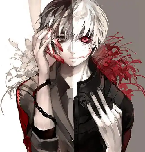 东京食尸鬼 金木研 #动漫# #二次元美男# #东京喰种# #动漫少年