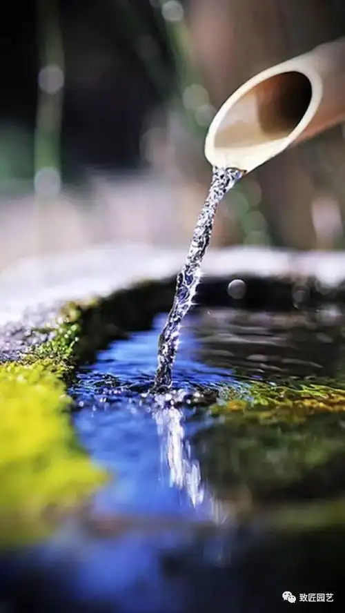 如此禅意的水井,定能让你享受片刻的清静
