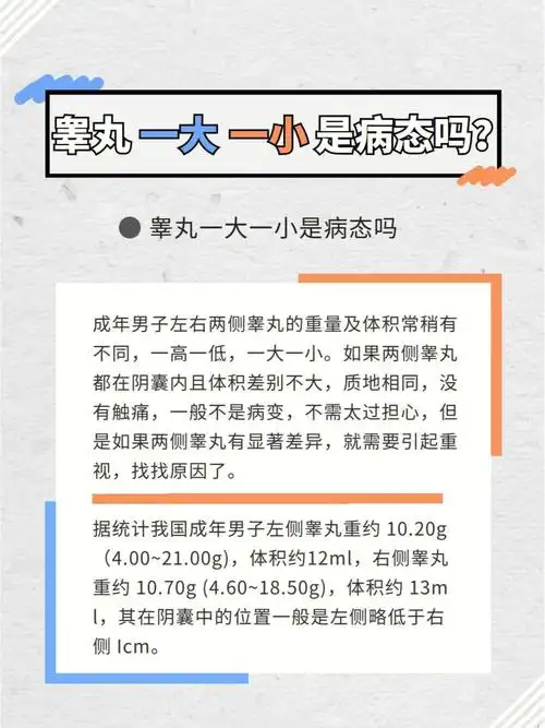 睾丸一大一小是病态吗