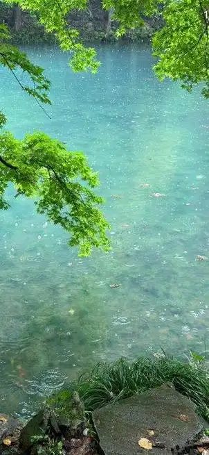 护眼绿色系壁纸