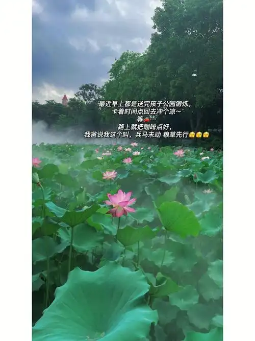 晚上主陪伴…很鄙视势利眼,我的性格就是非黑即白,嫉恶如仇别人走背字