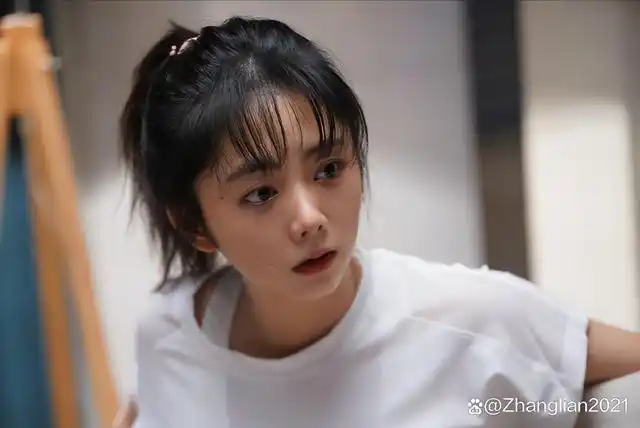 好剧推荐,谭松韵主演《以家人之名》