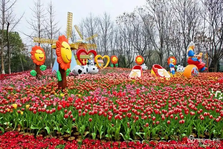 解放公园郁金香花展
