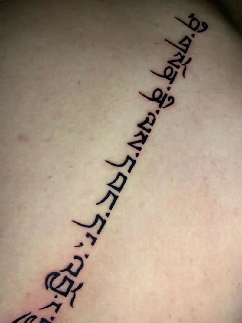 藏文纹身 脊椎藏文纹身,"生死有命富贵在天" 别看这么胖,小针扎起来一