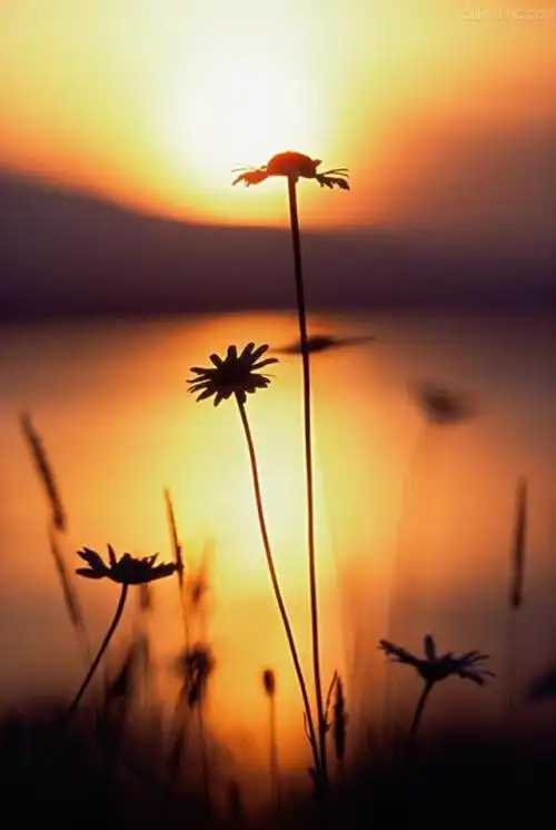 你羡慕别人月薪几万,却不知道他日日加班到…-堆糖,美好生活研究所