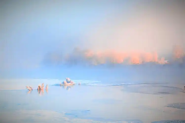 氤氲缭绕,如梦如幻—雾凇奇观