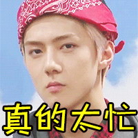 exo世勋真的太忙忙太忙soogifsoogif出品有点忙gif动图_动态图_表情包