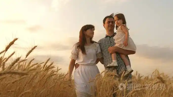 孩子和家长在玩.幸福的家庭牵手散步.小女儿,爸爸妈妈在麦田里玩耍.