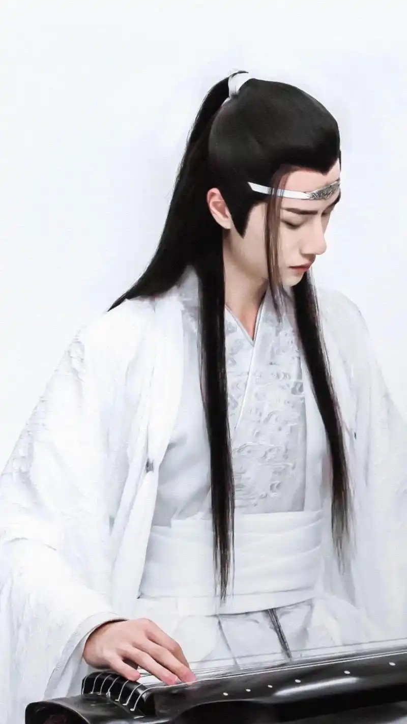 直到去年冬天我阳了的那几天,才第一次在网上看了《陈情令》.