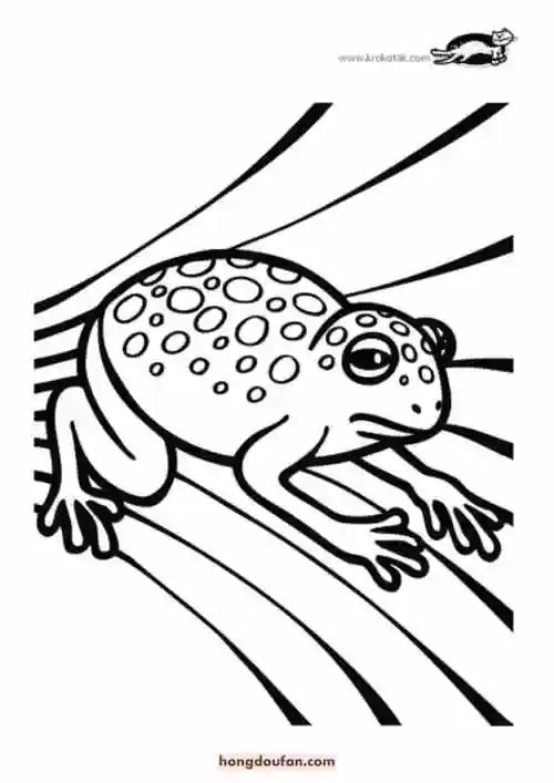 池塘小青蛙简笔画-红豆饭小学生简笔画大全