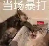 暴打_暴打表情包大全_斗图大全