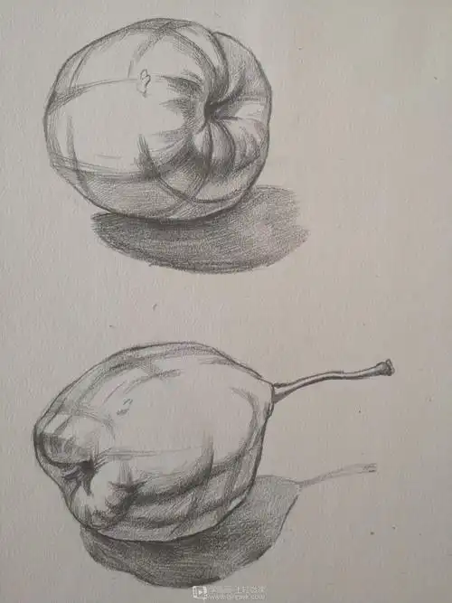 作业:学原画要不要学素描之水果结构素描画法训练 - gf-8-238熠熠