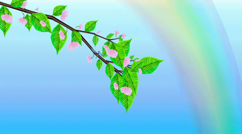 800_443gif 动态图 动图