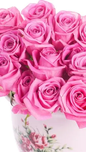 花束,粉红玫瑰,花瓶,白色背景 iphone 壁纸