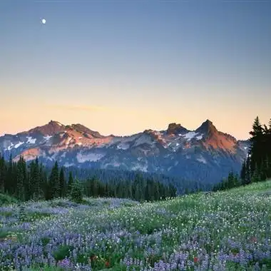 2021最美风景头像治愈系一看就舒心最美风景