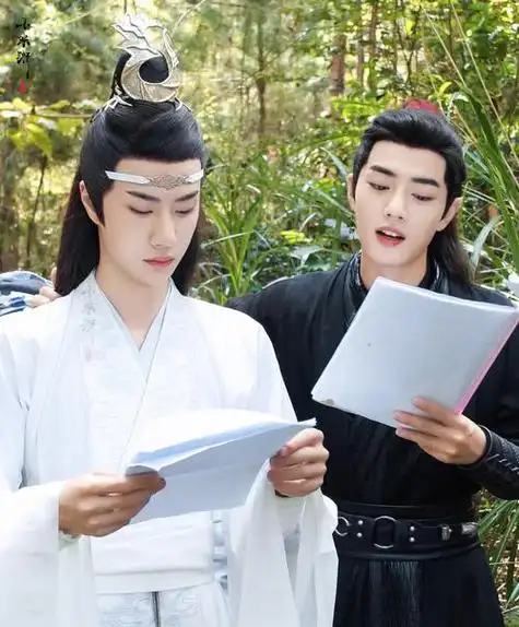 陈情令肖战王一博weavi