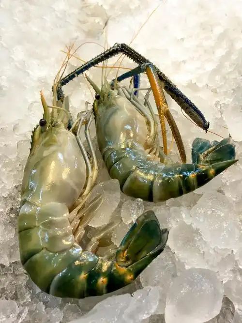 大头虾是海虾吗