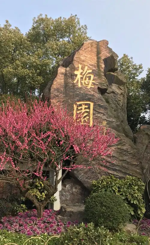 江南赏梅胜地—-无锡梅园
