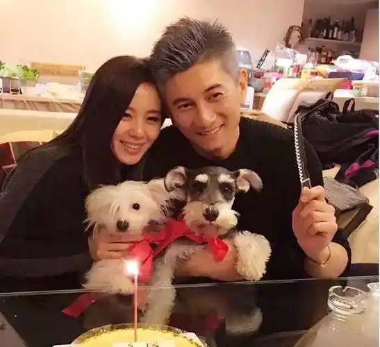 吴奇隆一家三口罕合体逛街,刘诗诗穿着朴素,老公抱娃乖巧等待_儿子