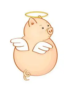 可爱的天使猪带着翅膀回头看. 它孤立在白色上.