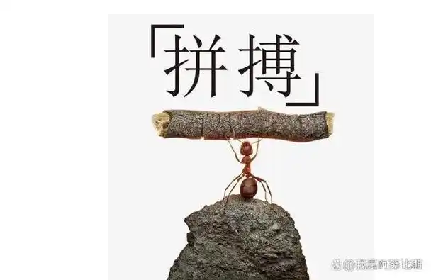 人生,最快乐的莫过于奋斗