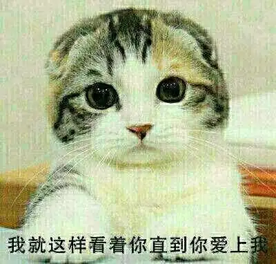 无内鬼_表情包_斗图图片