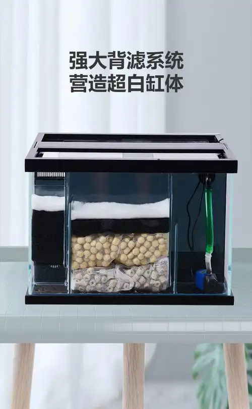 金晶超白玻璃背滤侧滤鱼缸小型海水缸懒人免换水生态鱼缸水族箱新