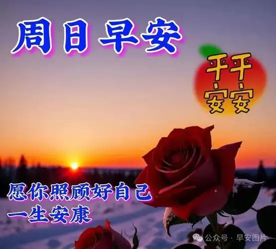 周日早安祝福图片精选,早安祝福语问候|快乐|甜蜜|清晨|幸福|早上好