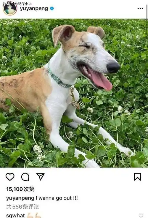 太暖心snh48前成员林思意深夜救孕妇这才是疫情下的正能量偶像