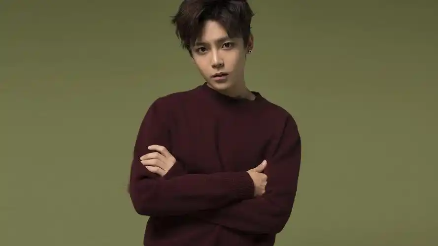 内地明星 侯明昊 明星风尚壁纸【1】