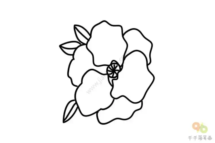 石榴花简笔画图片大全