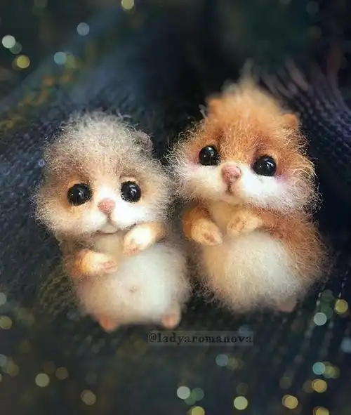 可爱治愈的小动物.ins:lady.aromanova