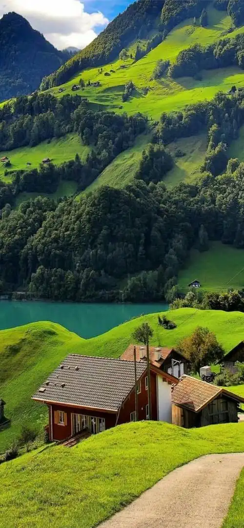 最漂亮的绿色风景壁纸图片