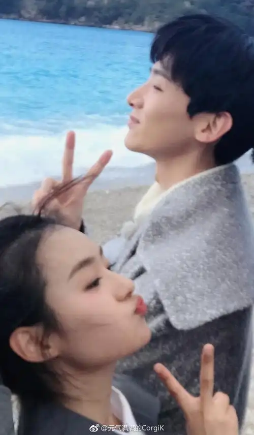 颜值夫妇郑合惠子白敬亭