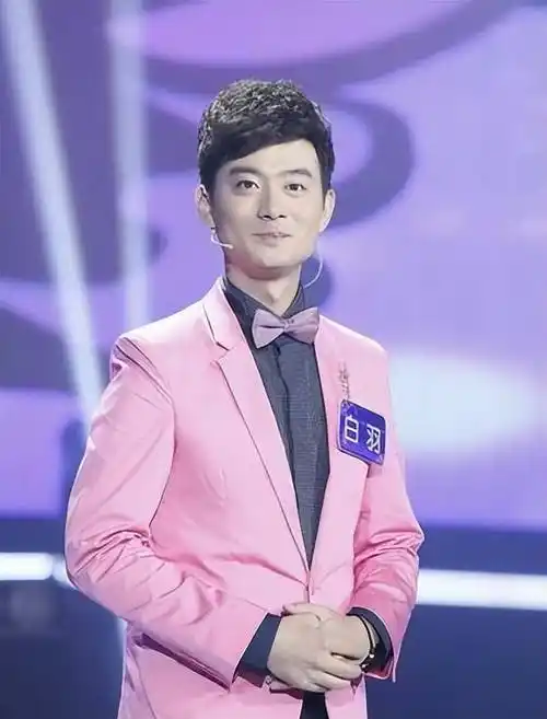 安徽卫视主持人白羽:主持《男生女生向前冲》,颜值高无绯闻_白宇_因为