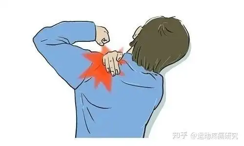 后背肩胛骨缝疼痛,竟然是这个原因!2个动作有效解决疼痛问题